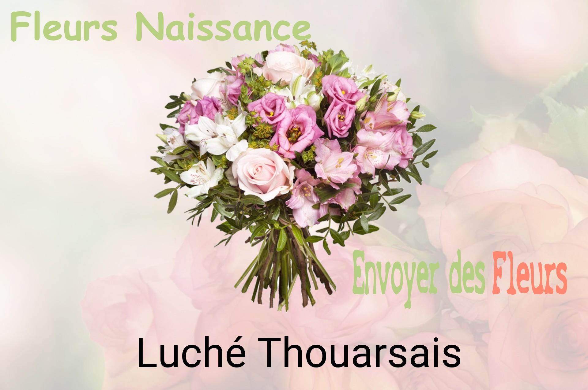 Bouquet de fleurs de naissance livré à Luché-Thouarsais